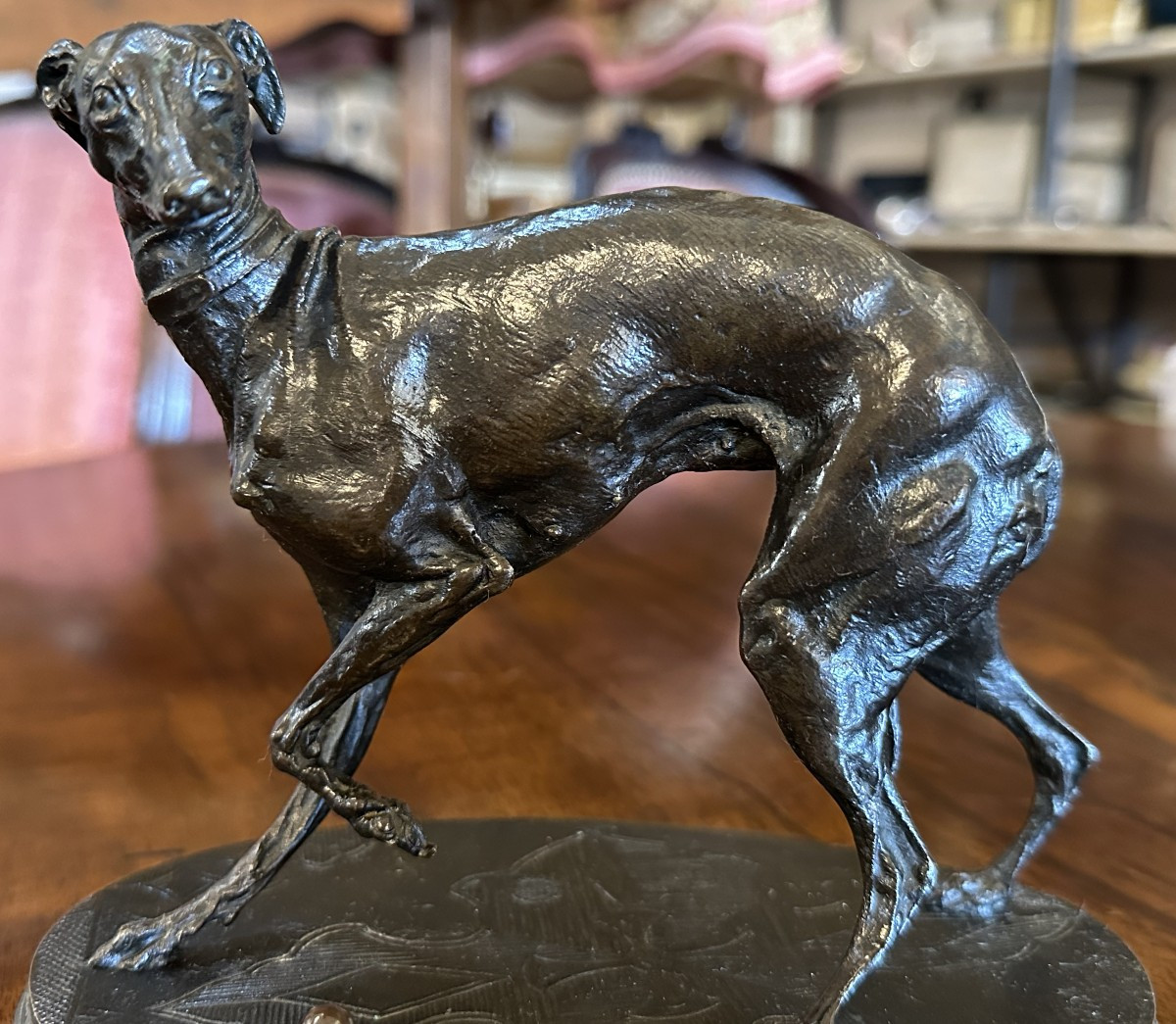 Bronze Sculpture Jiji Dog Greyhound With Ball By Pierre-jules Mêne 19th Century-photo-5