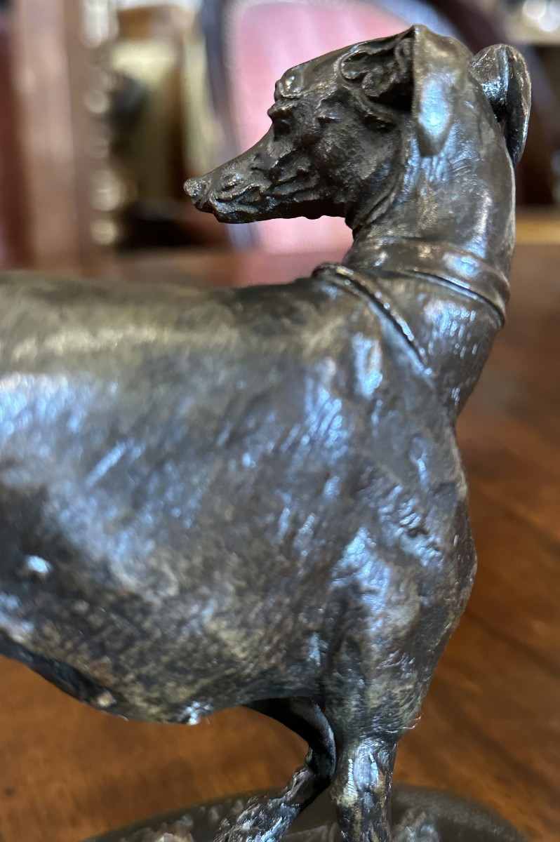 Bronze Sculpture Jiji Dog Greyhound With Ball By Pierre-jules Mêne 19th Century-photo-6