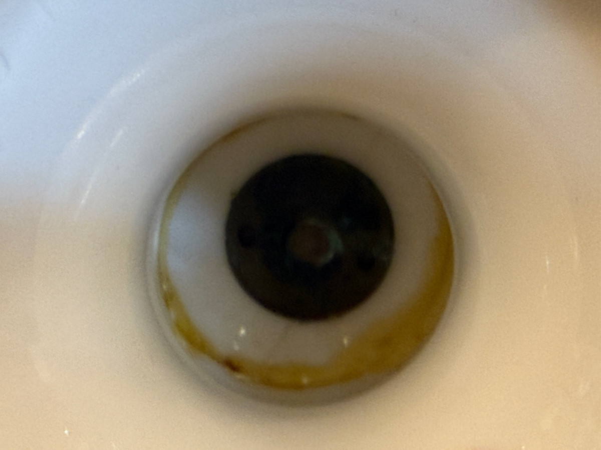 Sèvres Porcelain Bust Of Joseph Viala 1894-photo-8