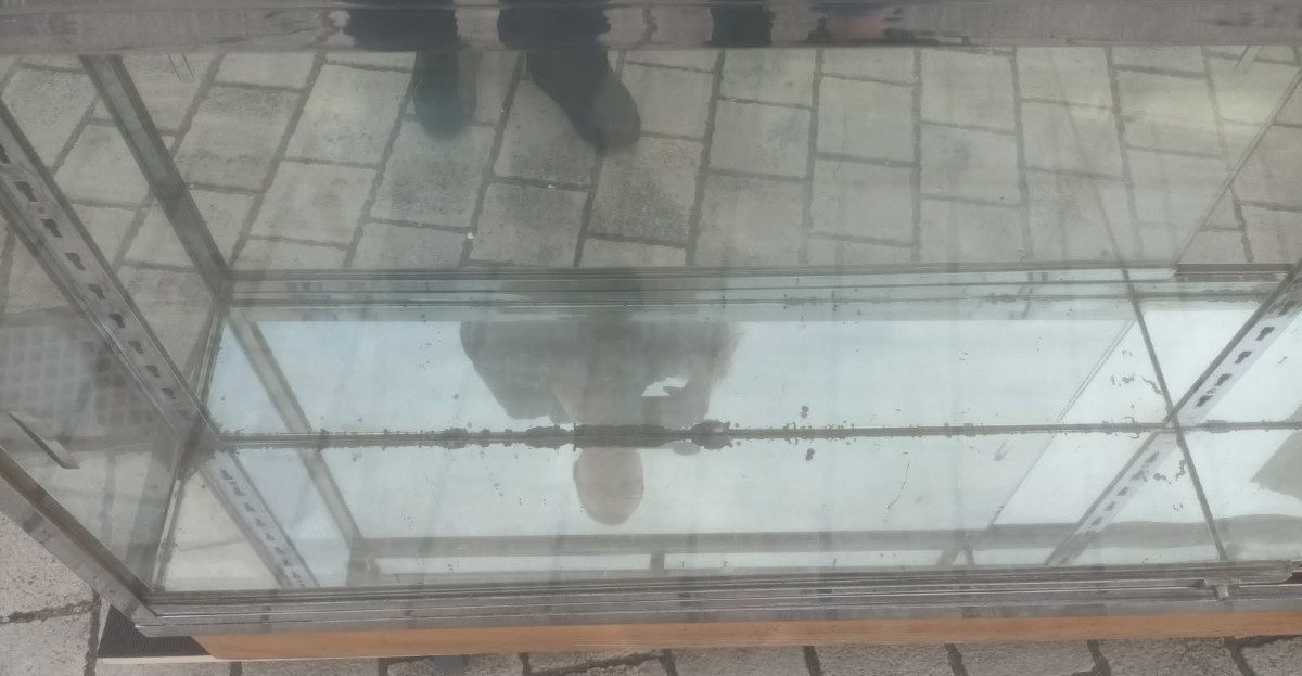 Grand comptoir vitrine de magasin par A Landes à Bordeaux  vers 1940-photo-1