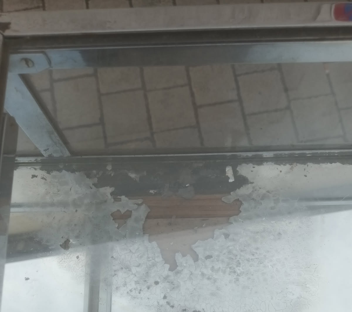 Grand comptoir vitrine de magasin par A Landes à Bordeaux  vers 1940-photo-5