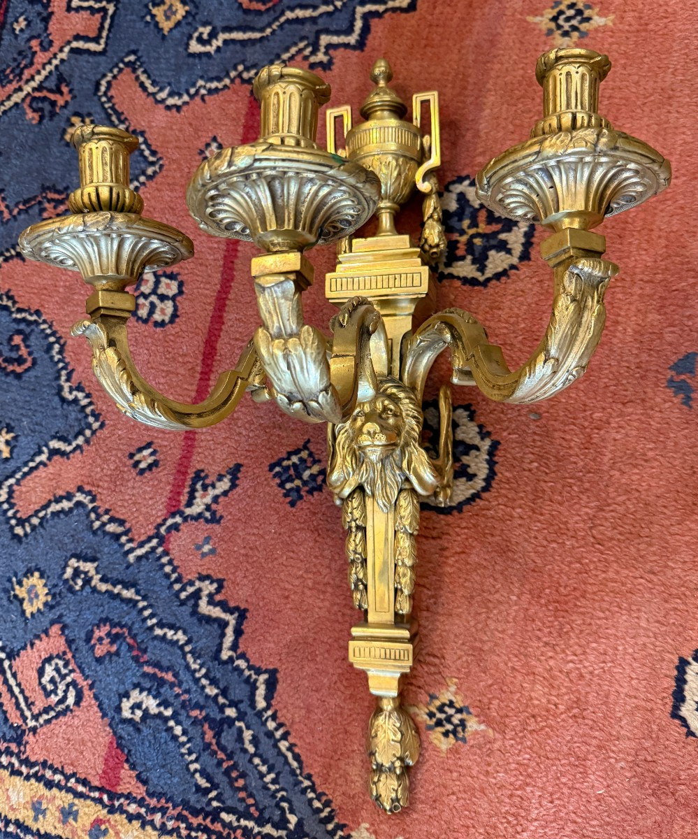 Important Pair Of Louis XVI Style Gilt Bronze Wall Sconces, Late 19th Century, 53 Cm-photo-2