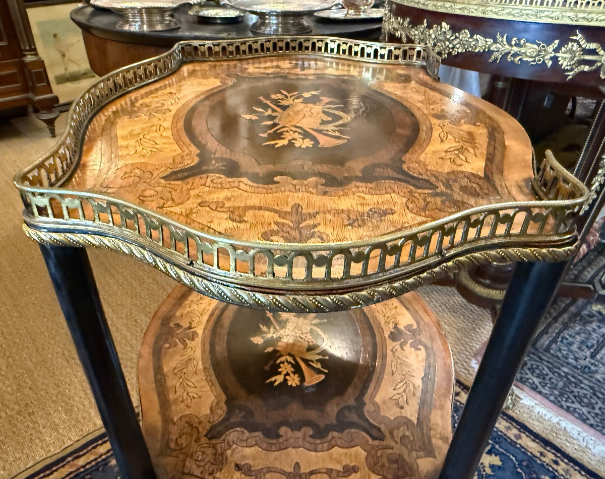 Napoleon III Marquetry Side Table With Musical Instruments, Late 19th Century-photo-7