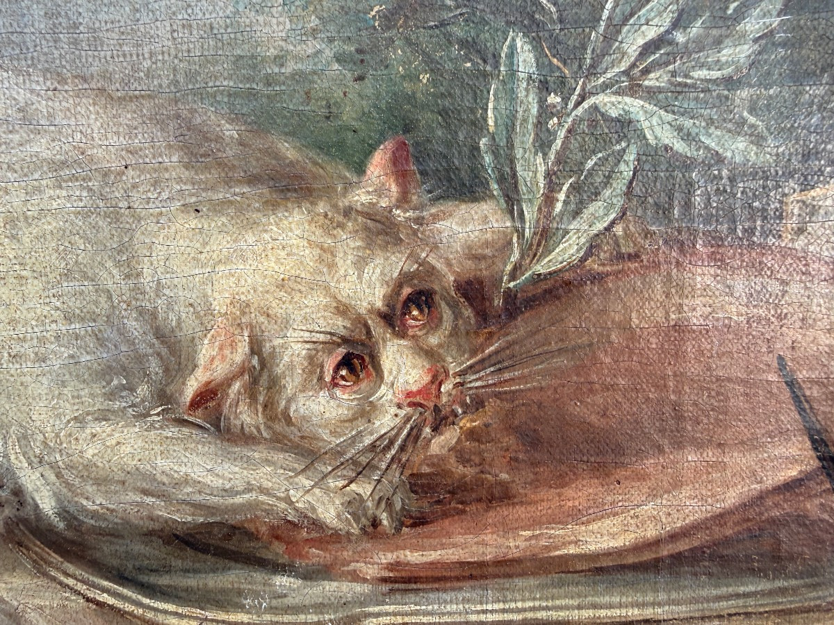 Nature morte au buffet avec un  chat dévorant le  jambon école française du XVIIIème siècle-photo-4