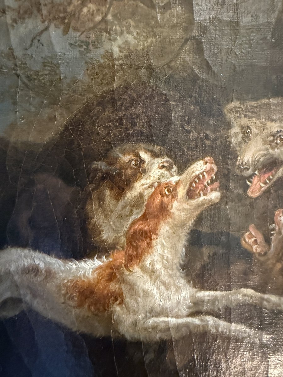 Tableau chasse  hallali chiens attaquant un loup par le peintre normand A Bonnel fin XVIIIème-photo-5