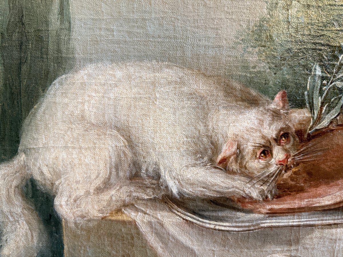Grande nature morte au buffet un chat dévorant le  jambon école française du XVIIIème siècle-photo-5
