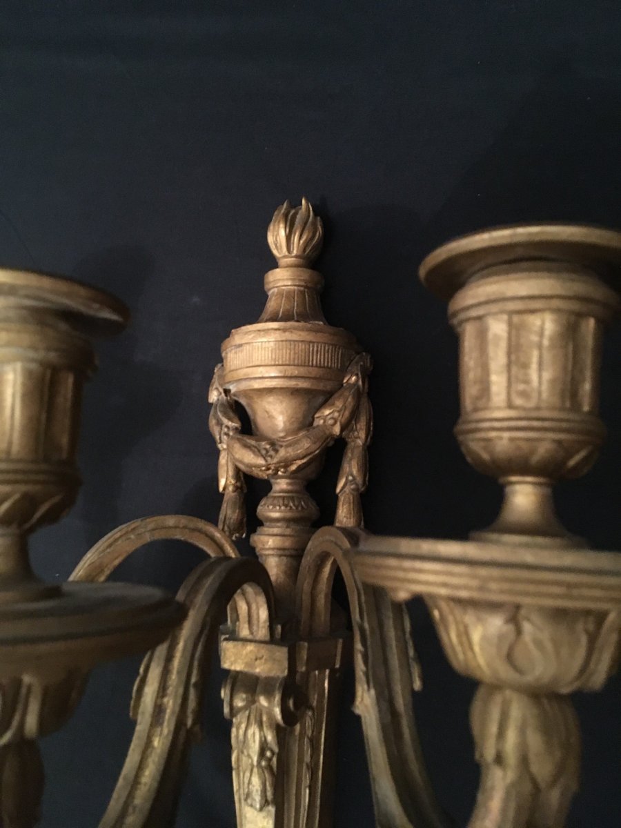 Pair Of Louis XVI Gilt Bronze Sconces XIXè-photo-3