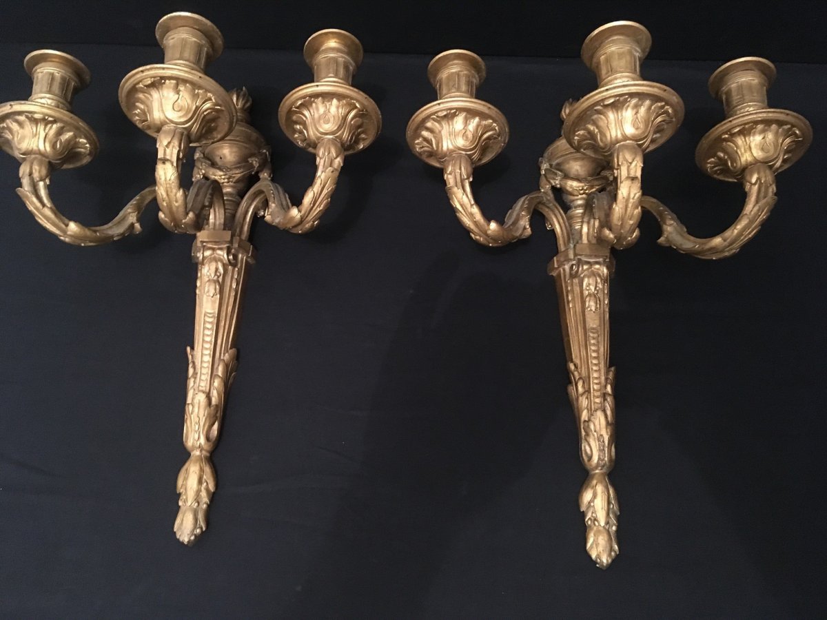 Pair Of Louis XVI Gilt Bronze Sconces XIXè