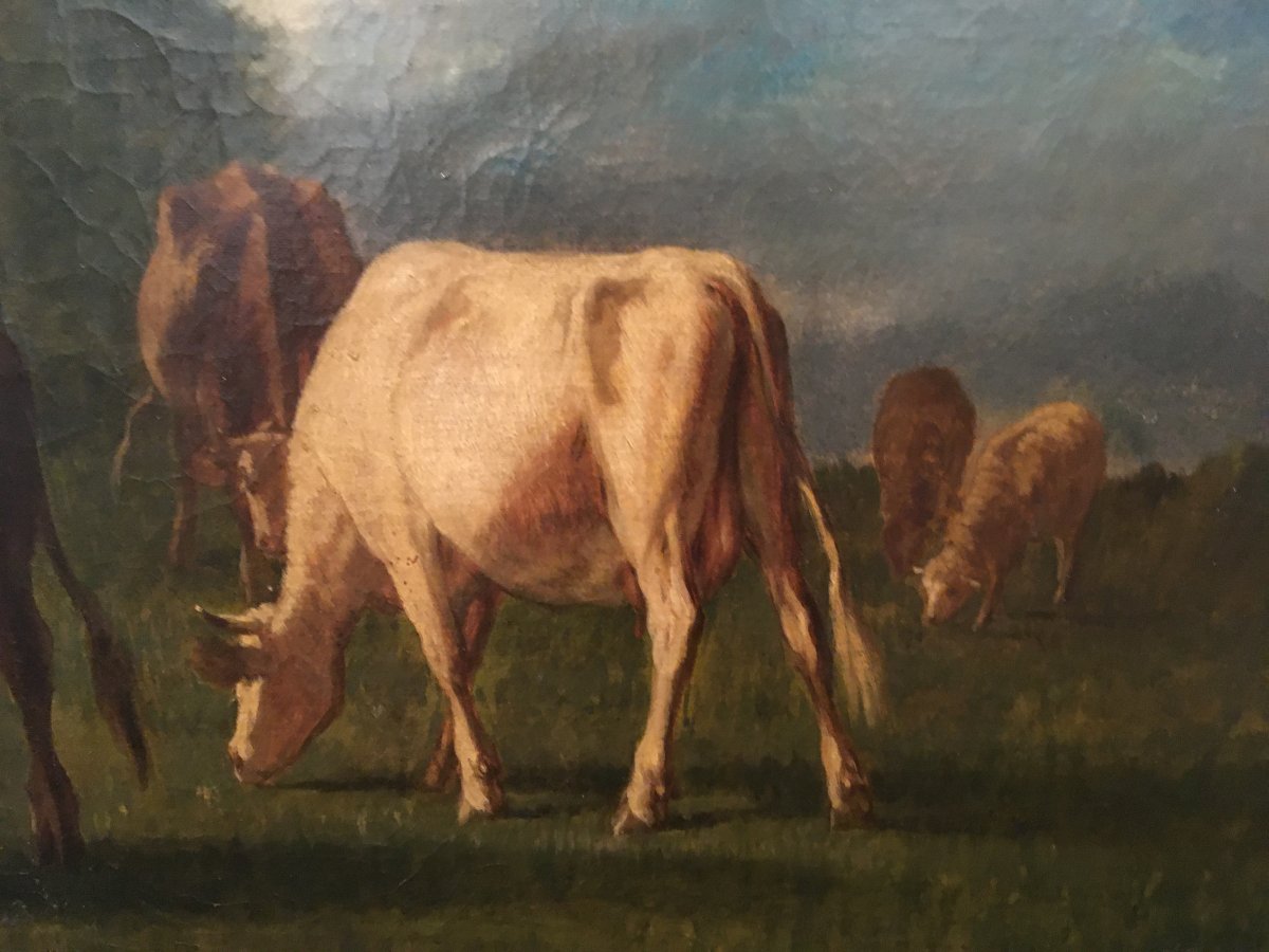 Tableau Vaches Au Pré Par Cortès  Y Aguilar XIXème-photo-4