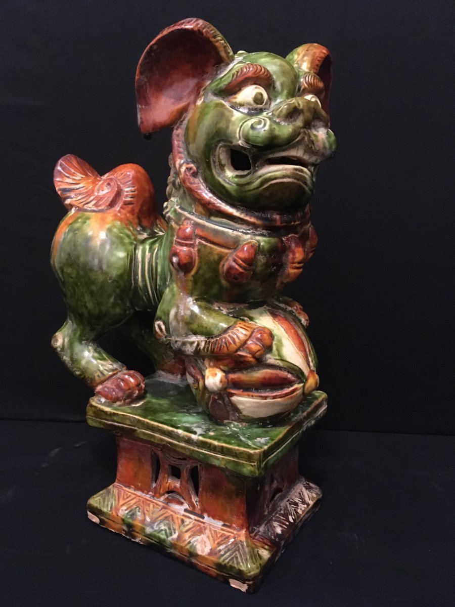 Chine paire de chiens de Fô XIXème-photo-1