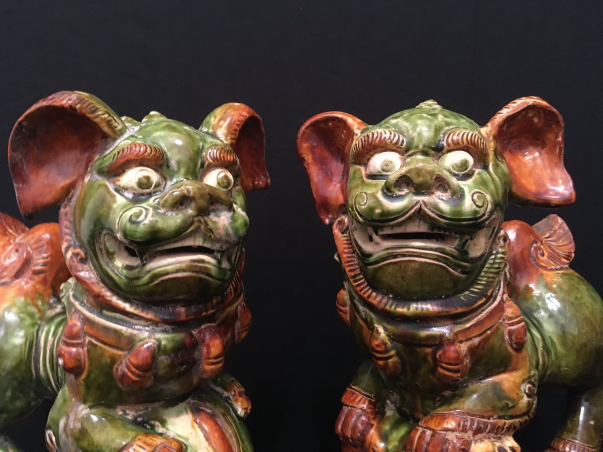 Chine paire de chiens de Fô XIXème-photo-6