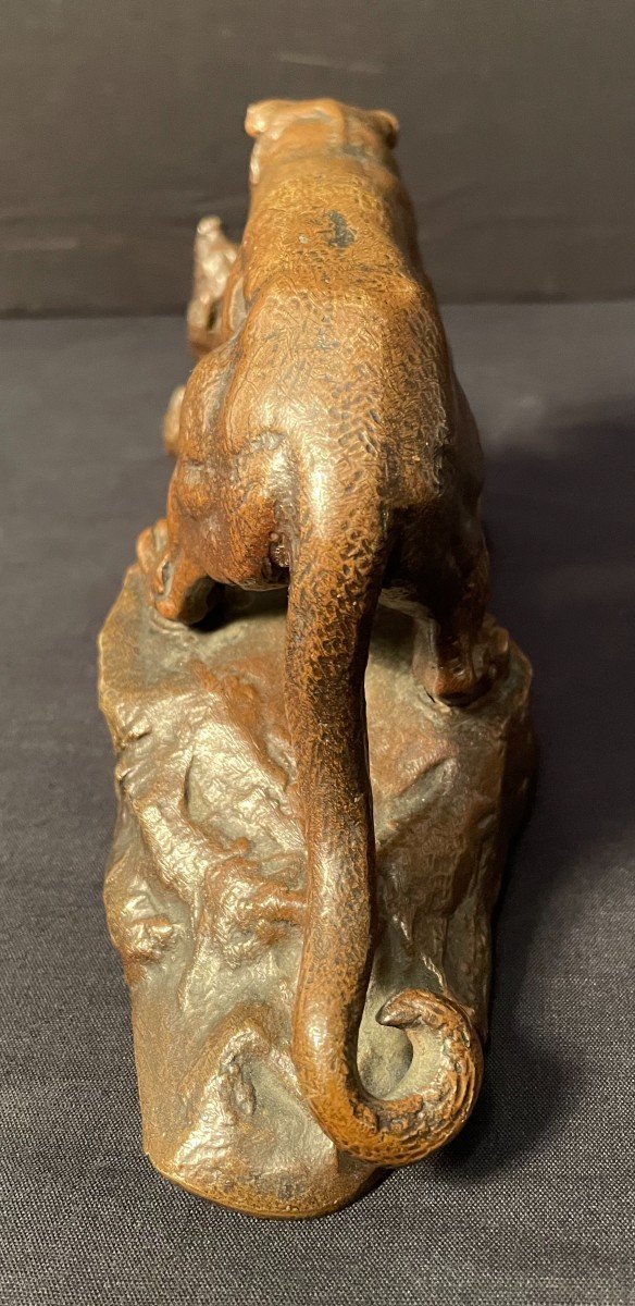 Bronze Panther Surprising A Zibeth By Barye Fonte Brame Nineteenth Century-photo-3
