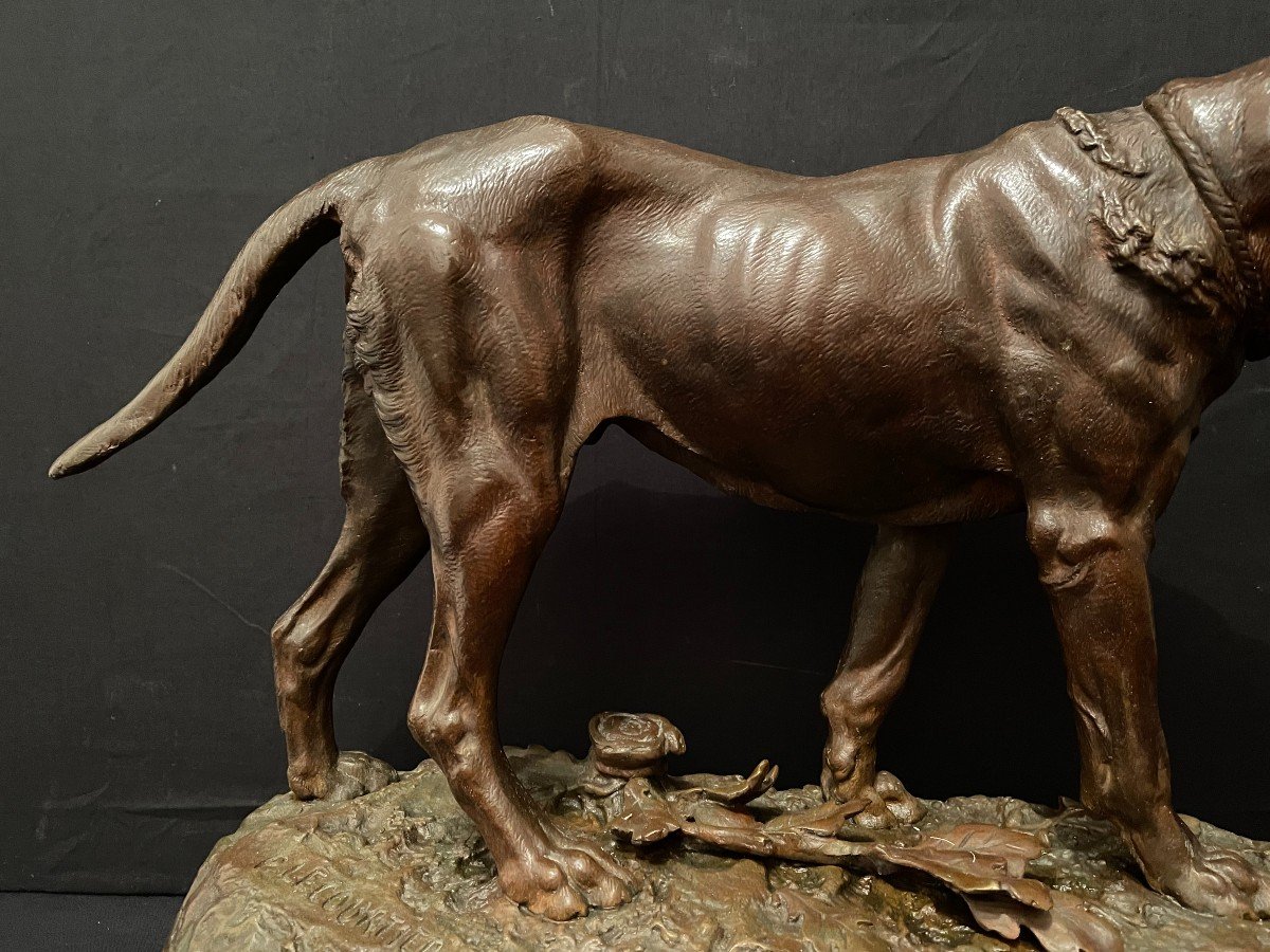 Important Bronze Chien De Meute Saint-Hubert Bloodhound Par Lecourtier Fin XIXème-photo-4