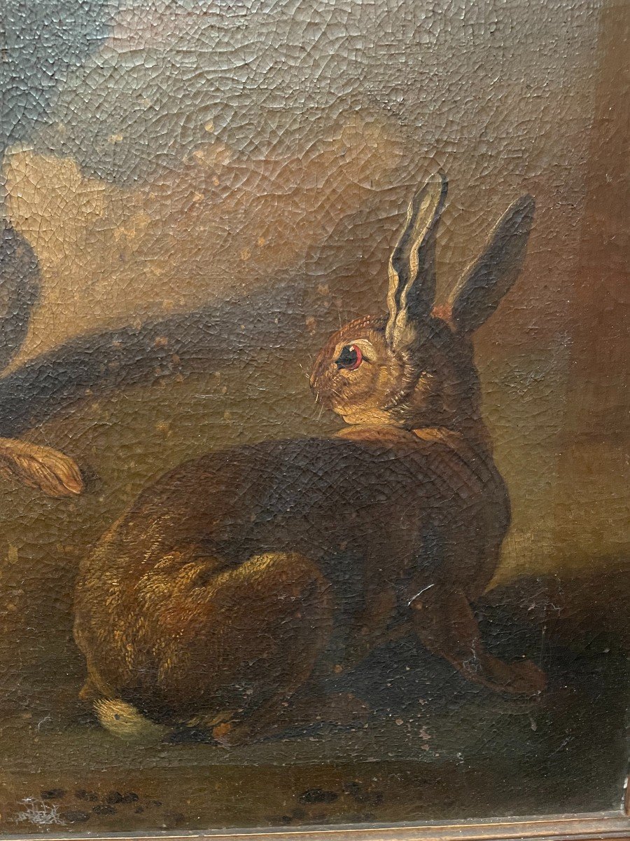 French School Painting Of The Eighteenth Century Hares And Fox In Style Of Desportes-photo-1