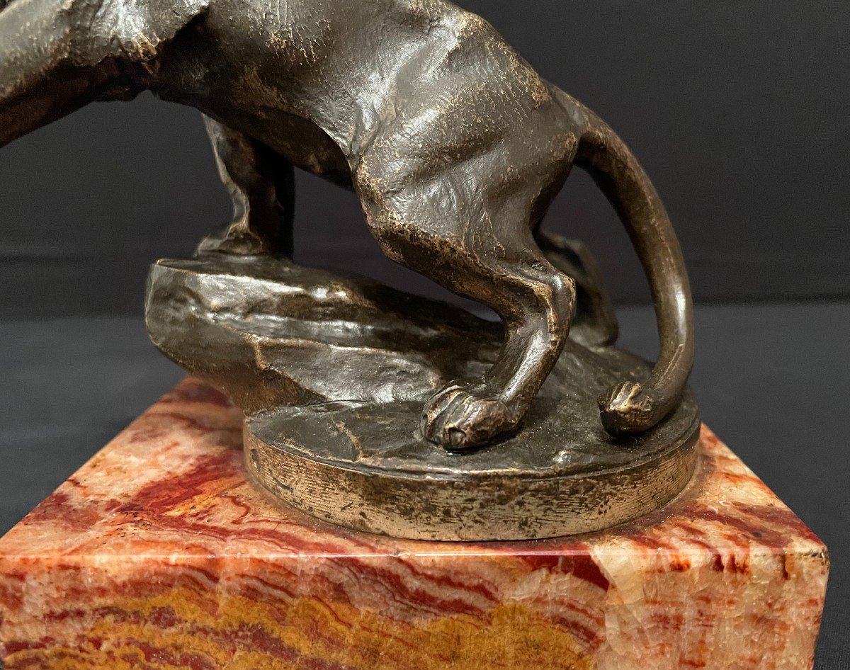 Mascotte Bronze Lion Peugeot par MARX-photo-6