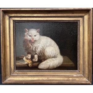 Painting The Angora Cat And The Canary By Jacques Barthélémy Delamarre XVIIIth Century