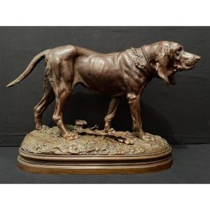 Important Bronze Chien De Meute Saint-Hubert Bloodhound Par Lecourtier Fin XIXème