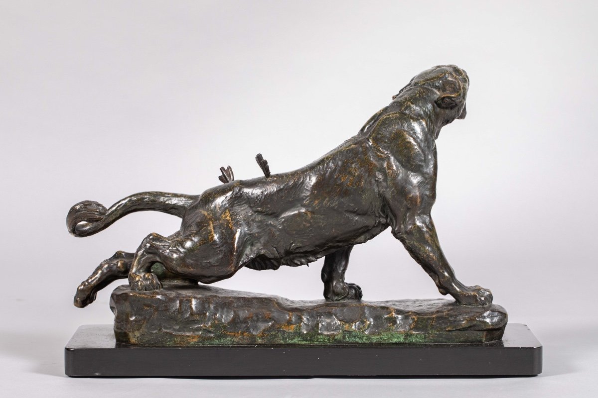 Valton Charles (1851-1918) "wounded Lioness" -photo-3