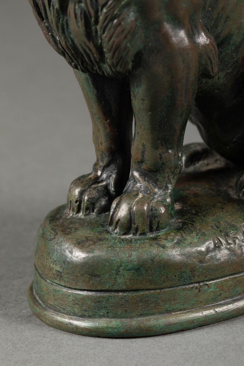Alfred Barye (1839-1882) Bronze « Lion assis » -photo-8