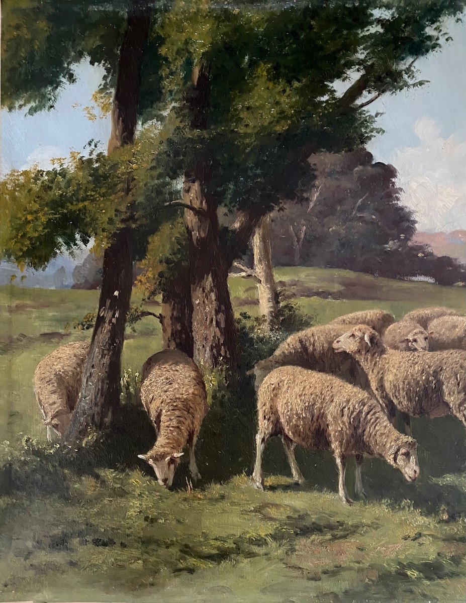 “sheep In A Meadow”. Oil On Canvas. XIXth. A. Bremontier.-photo-2
