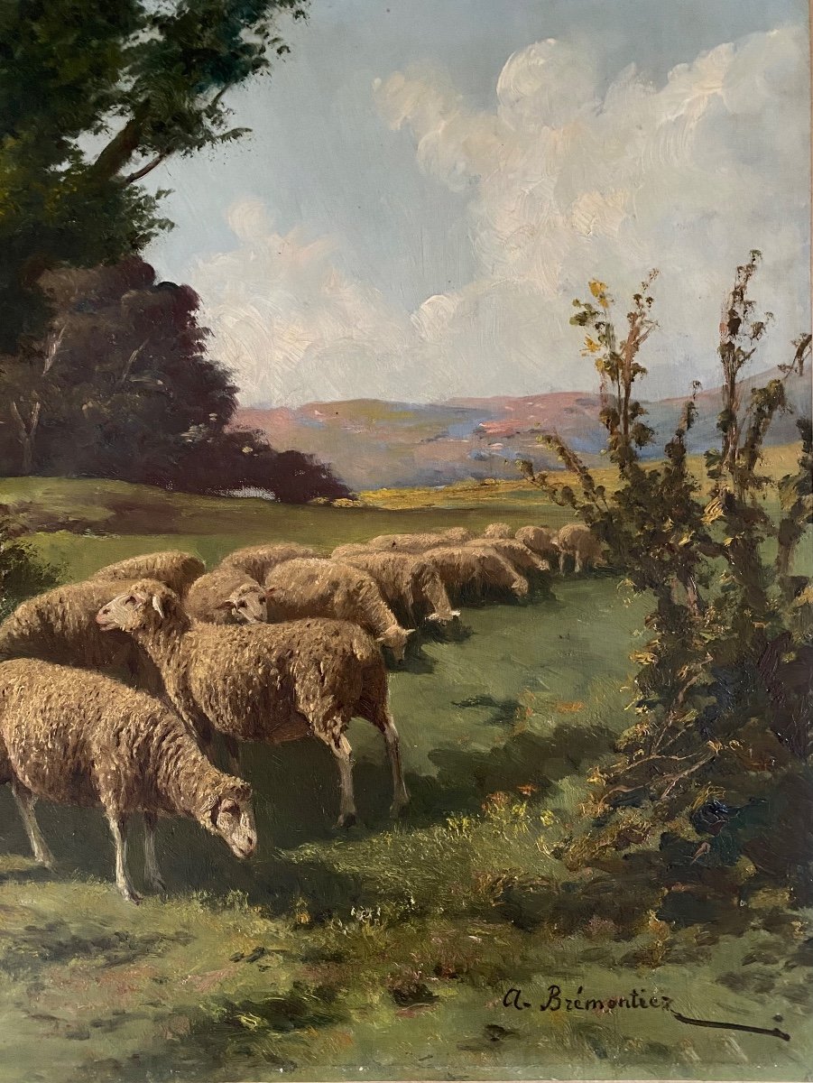 “sheep In A Meadow”. Oil On Canvas. XIXth. A. Bremontier.-photo-3