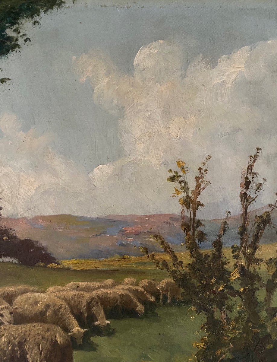 “sheep In A Meadow”. Oil On Canvas. XIXth. A. Bremontier.-photo-4