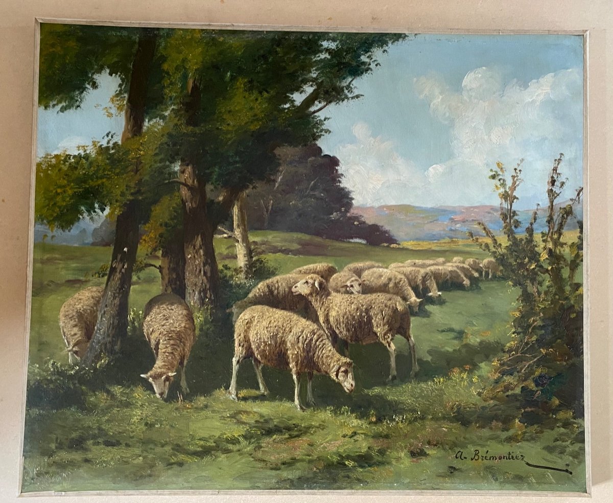 “sheep In A Meadow”. Oil On Canvas. XIXth. A. Bremontier.
