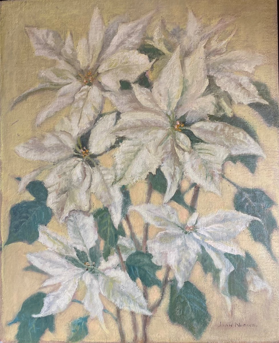 “the White Poinsettias Or Christmas Stars”. Joan Nuding. Middle 20th Century English School.-photo-2