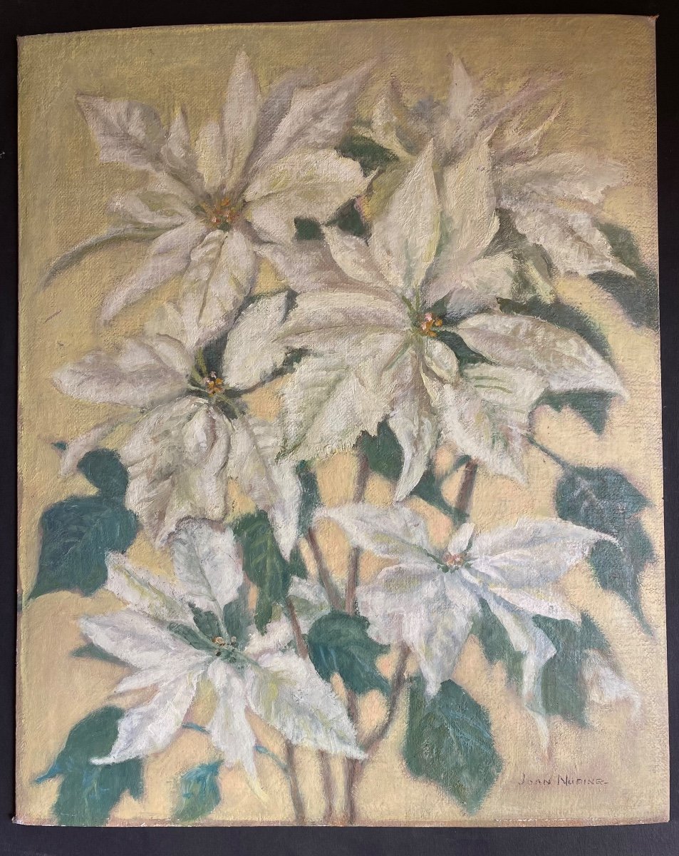 “the White Poinsettias Or Christmas Stars”. Joan Nuding. Middle 20th Century English School.