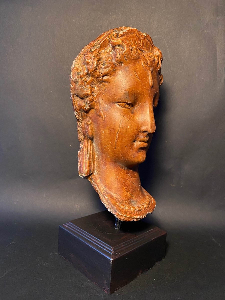 Head Of Diane De Poitiers. Painted Cement Molding On Base. Mid 20th Century. -photo-2