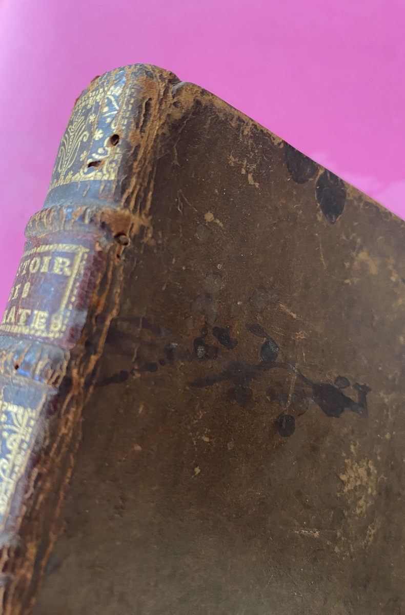 "history Of The English Pirates." Captain Ch. Johnson. Ed. Ganeau And Cavelier. Paris 1726.-photo-7