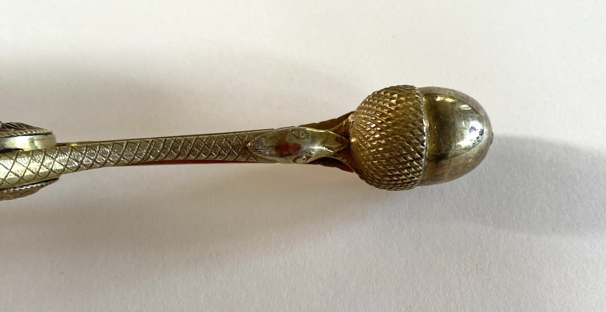 Early 19th Century Gilt Brass Sugar Tongs. Snake And Acorn On An Arrow. -photo-5