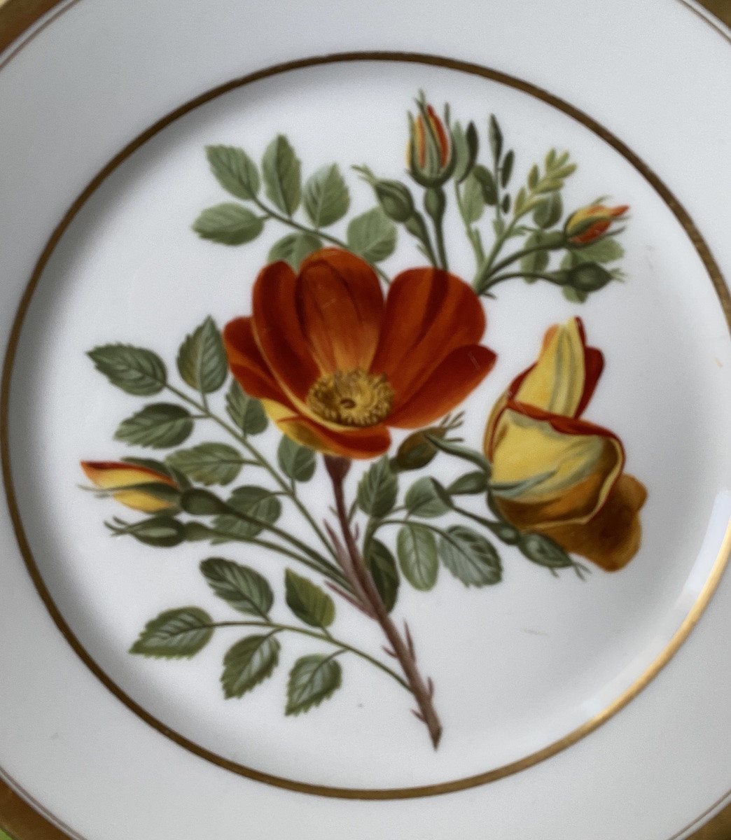 Paris Porcelain Plate. Early 19th Century. Hand-painted Floral Decoration. Eglantine. -photo-2