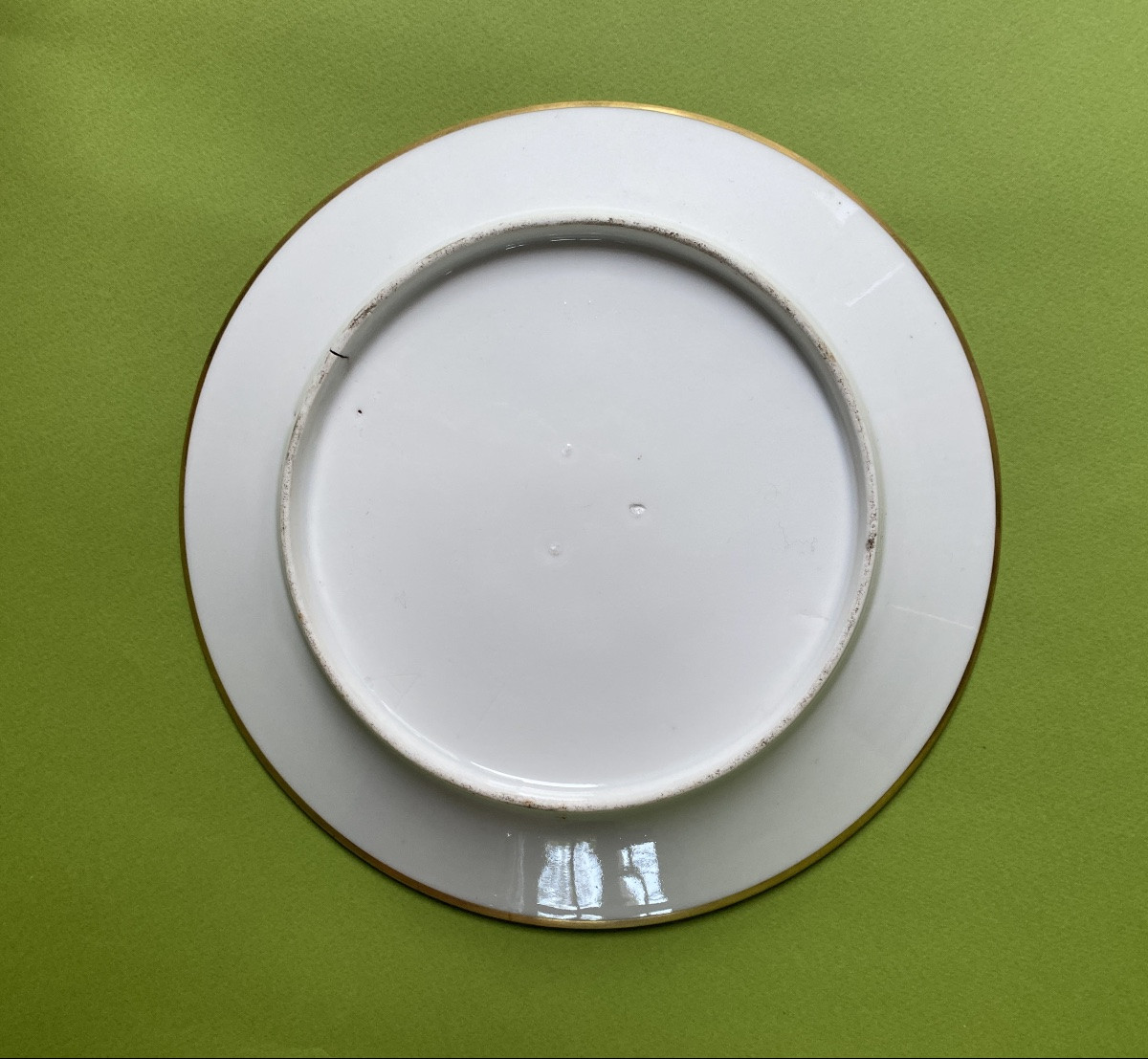 Paris Porcelain Plate. Early 19th Century. Hand-painted Floral Decoration. Eglantine. -photo-3