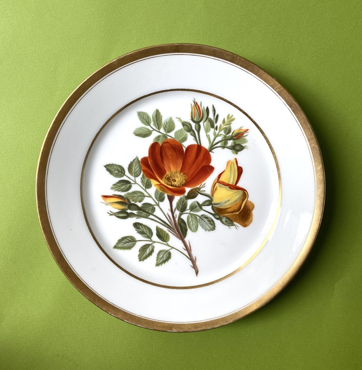 Paris Porcelain Plate. Early 19th Century. Hand-painted Floral Decoration. Eglantine. 
