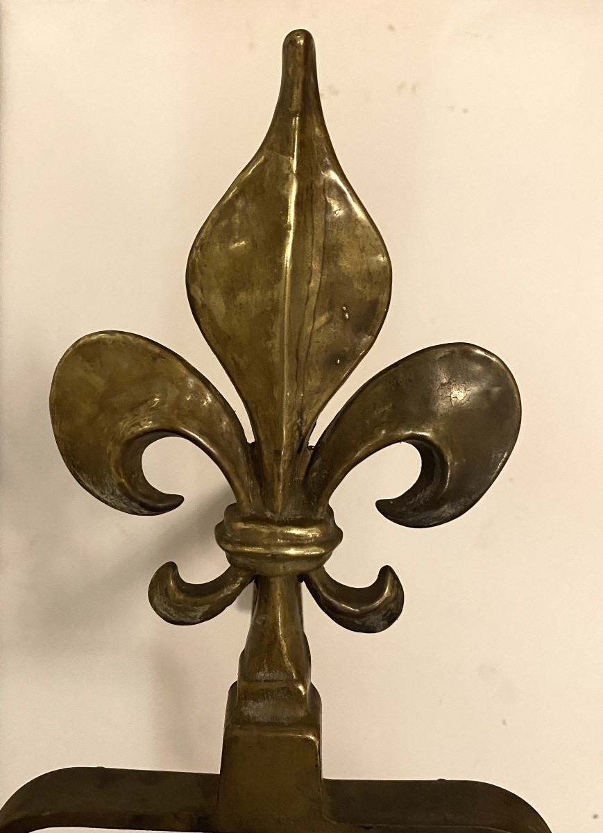 Paire de chenets début XXème. Fleurs de lys en bronze. Piétements en fer. -photo-1