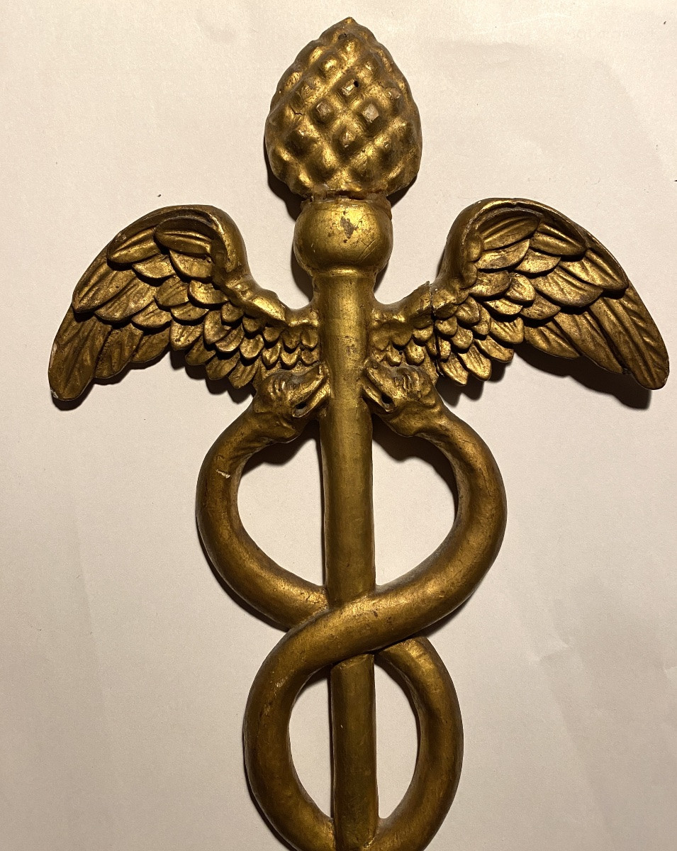 Caducée en bois sculpté et doré début XIXème. -photo-2