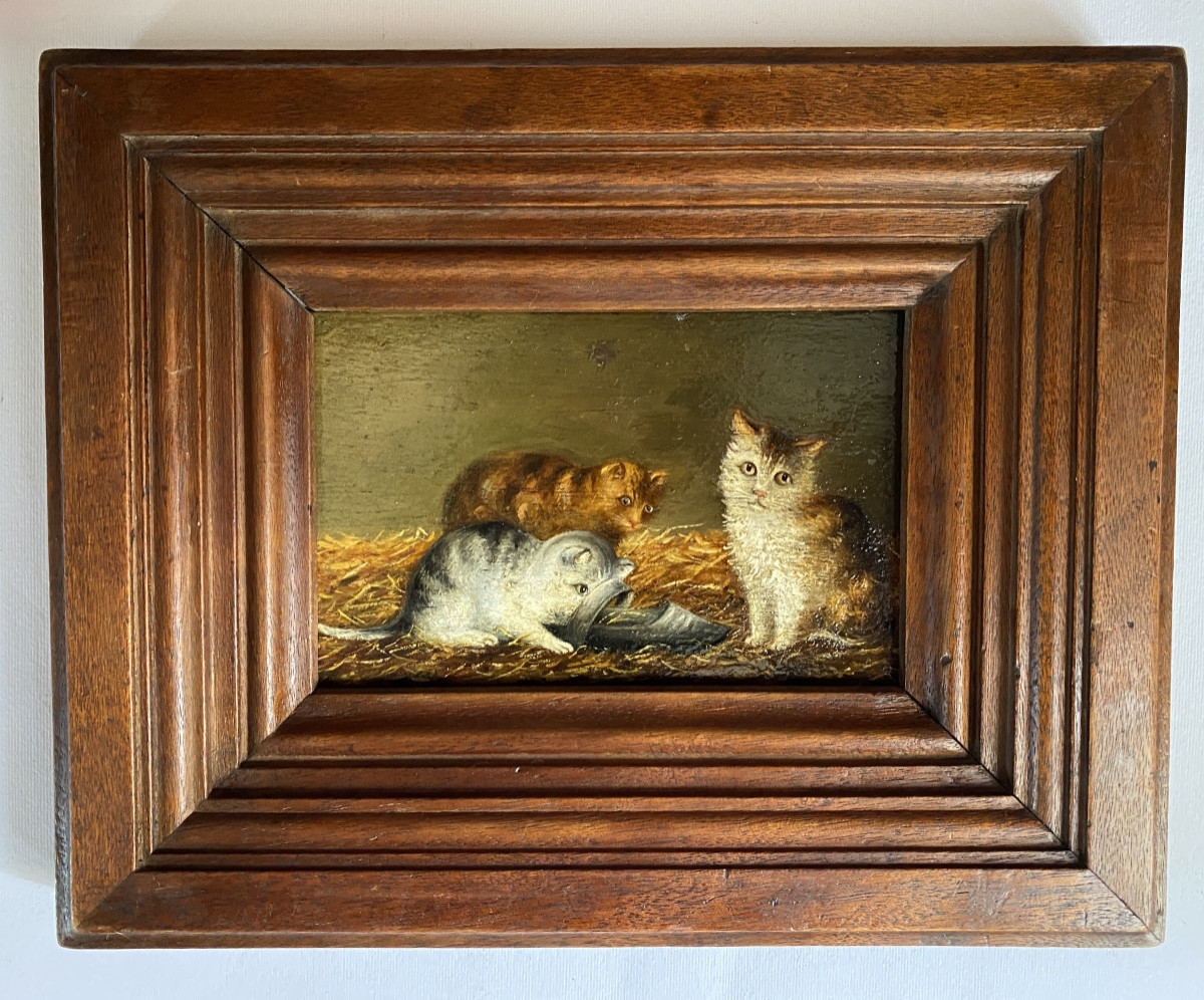 “Les chatons et le sabot”. Huile sur panneau encadrée. Ecole française fin XIXème. 