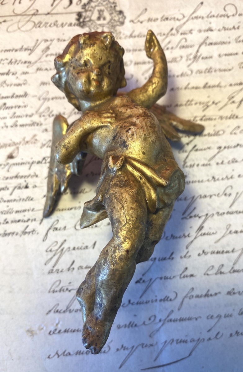 Pair Of Cherubs And Putti In Carved And Gilded Wood, 18th Century.-photo-3