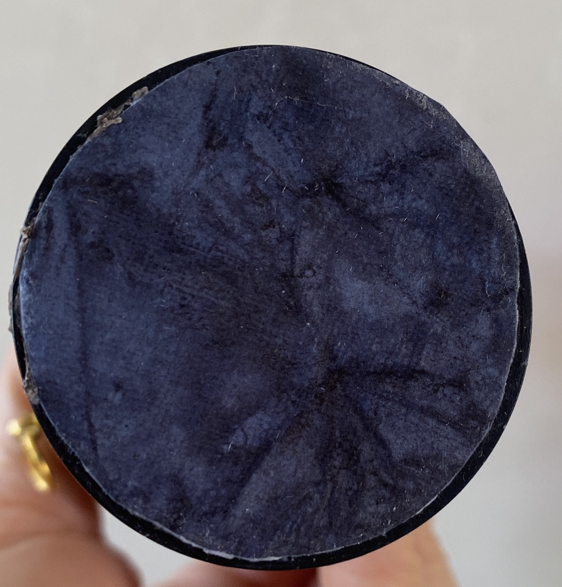 Red Coral Stem On Blackened Wood Base. Curiosity.-photo-4
