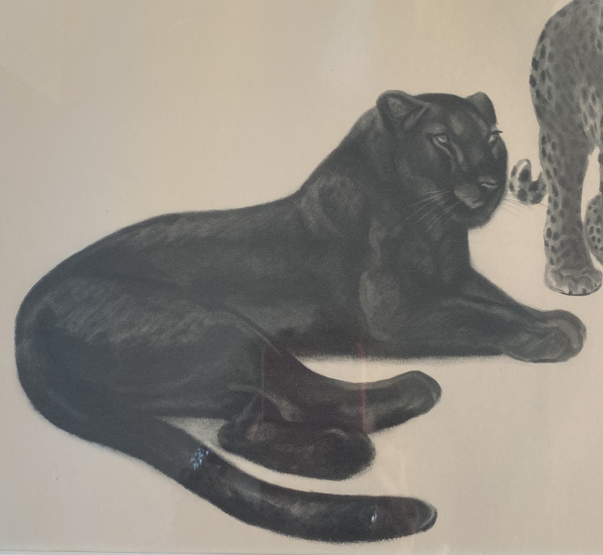 Georges Lucien Guyot. Lithograph. “félins.” Published By Lematte And Boinot. 1937.-photo-3