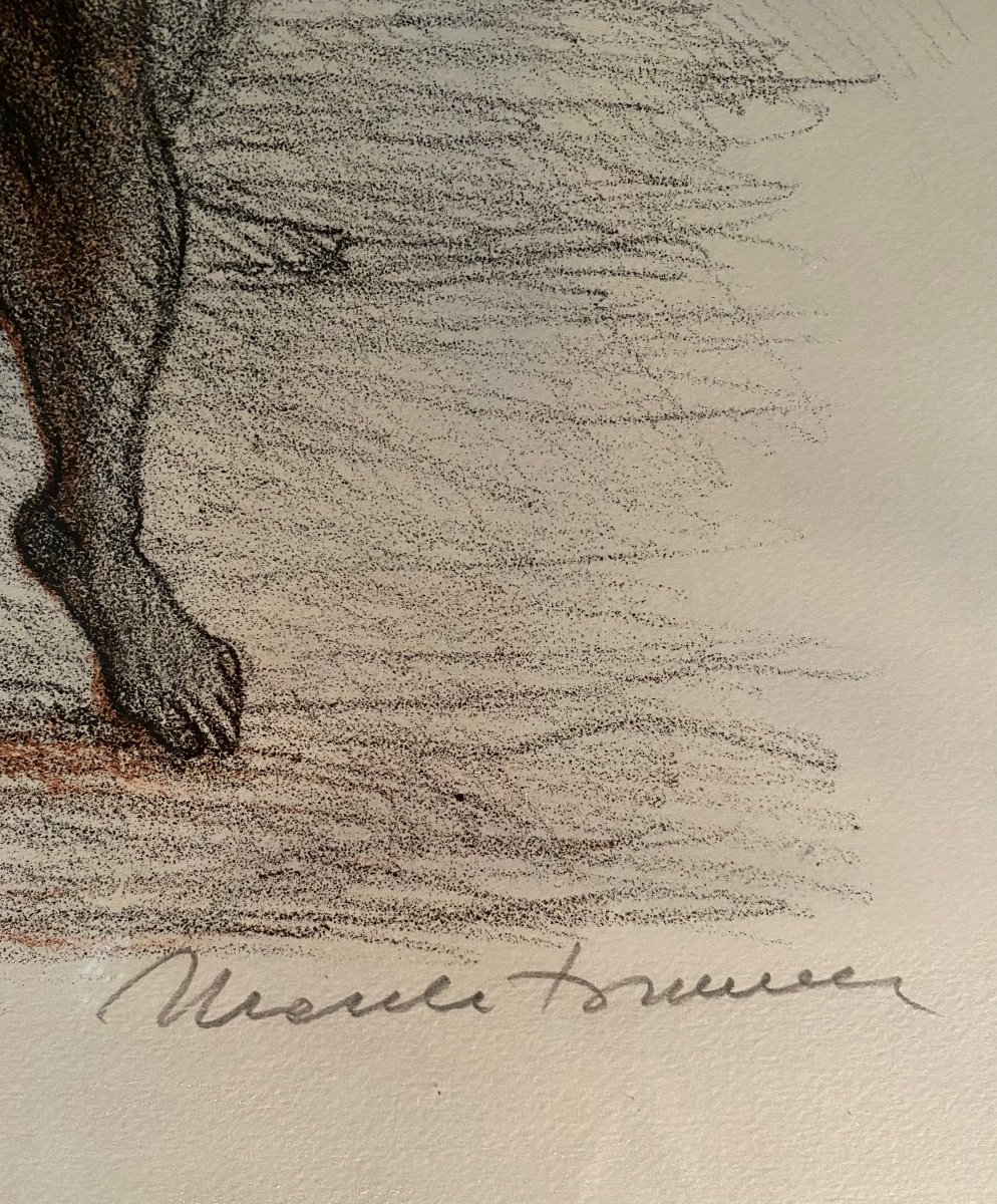 « Guerrier Nu Tenant Un Cheval Cabré » . Lithographie néoclassique Milieu XXème.-photo-2