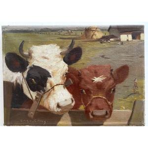 “ Cow And Calf In A Meadow”. Oil On Canvas. Mark Osman Curtis. 20th Century Danish School.