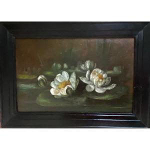 “the Water Lilies”. Oil On Board. French School Late 19th Century. 