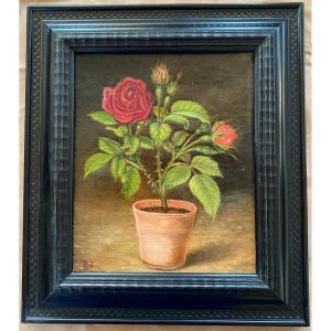 “ The Pot Of Roses”.  Framed Oil On Canvas. 19th Century. Signed Pj.