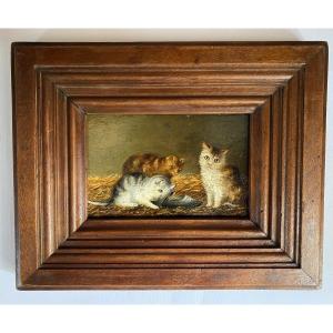“Les chatons et le sabot”. Huile sur panneau encadrée. Ecole française fin XIXème. 