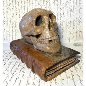 19th Paperweight. Memento Mori. Vanity. Patinated Plaster Skull On An Antique Book.