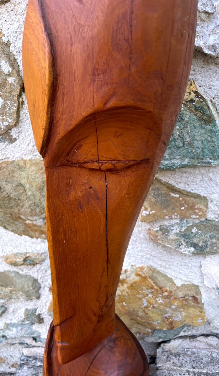 Ironwood Sculpture (aïto)-photo-2