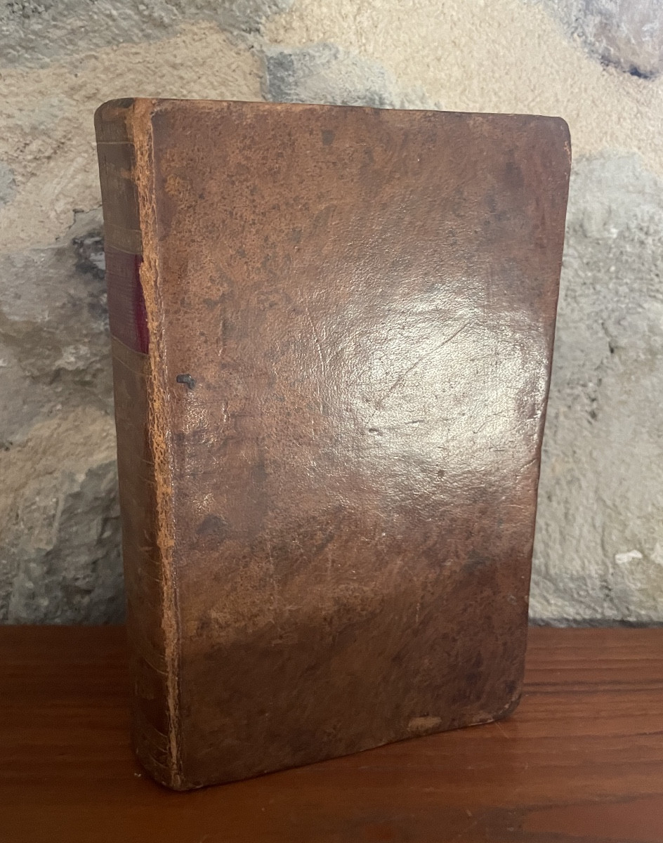 Mediterranean Portulaca – Michelot – Circa 1805 – Leather-bound-photo-2
