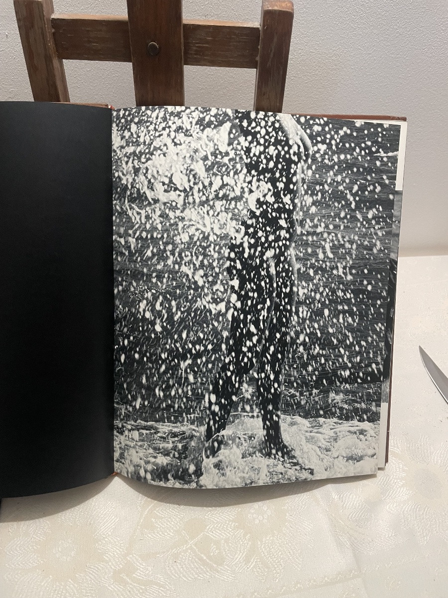 Lucien Clergue – Born Of The Wave, éditions Pierre Belfond, 1968 – Leather-bound, With Dust Jac-photo-4
